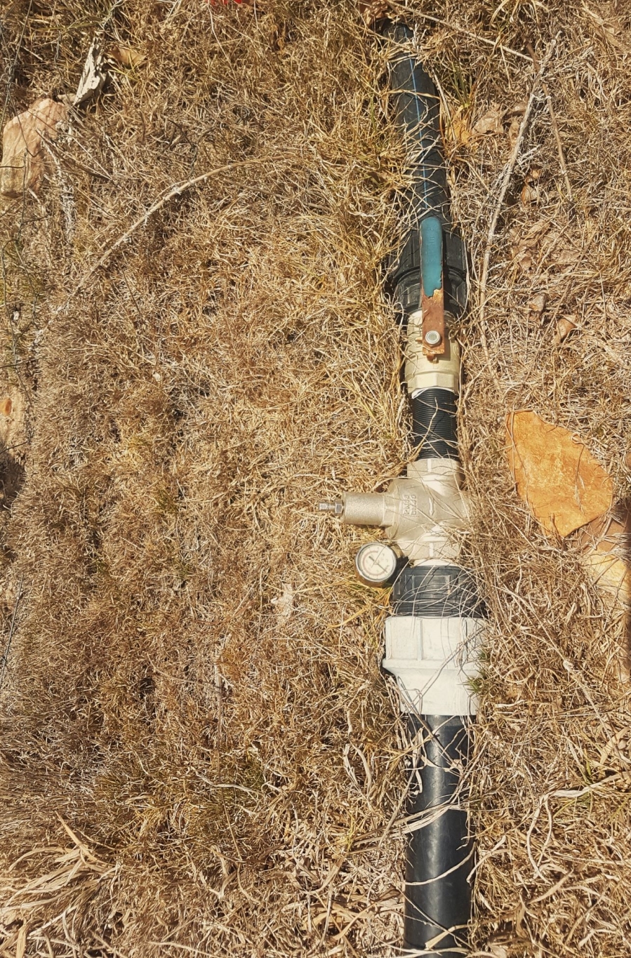 Commercial Property for Sale in Haarlem Western Cape